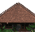 Layer 9 (1)